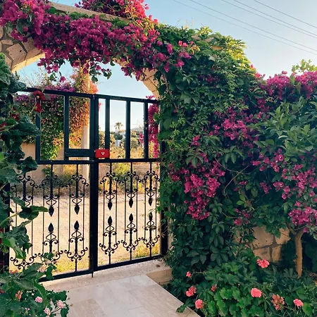 Bed and Breakfast Limon
