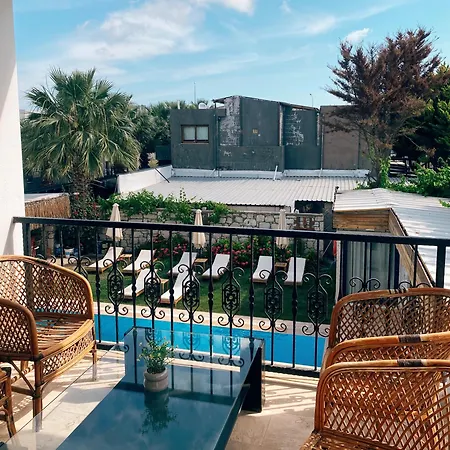 Limon Отель типа 