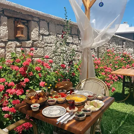 Limon * Cesme