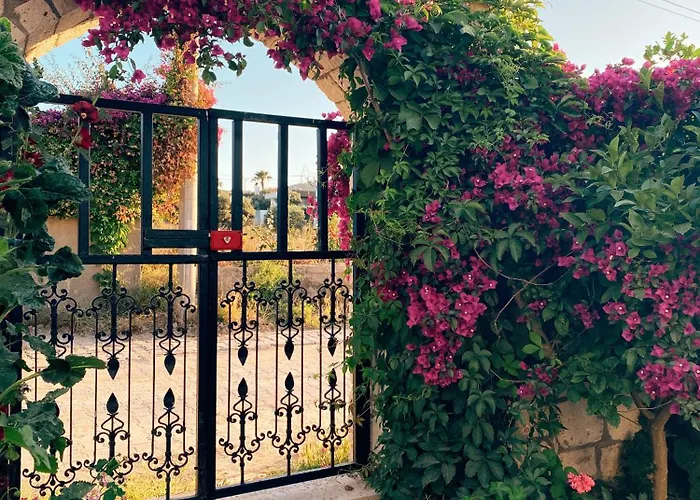 Bed & Breakfast Limon